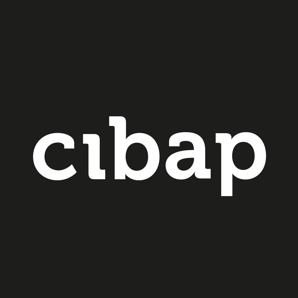 Cibap Vakschool voor vormgeving