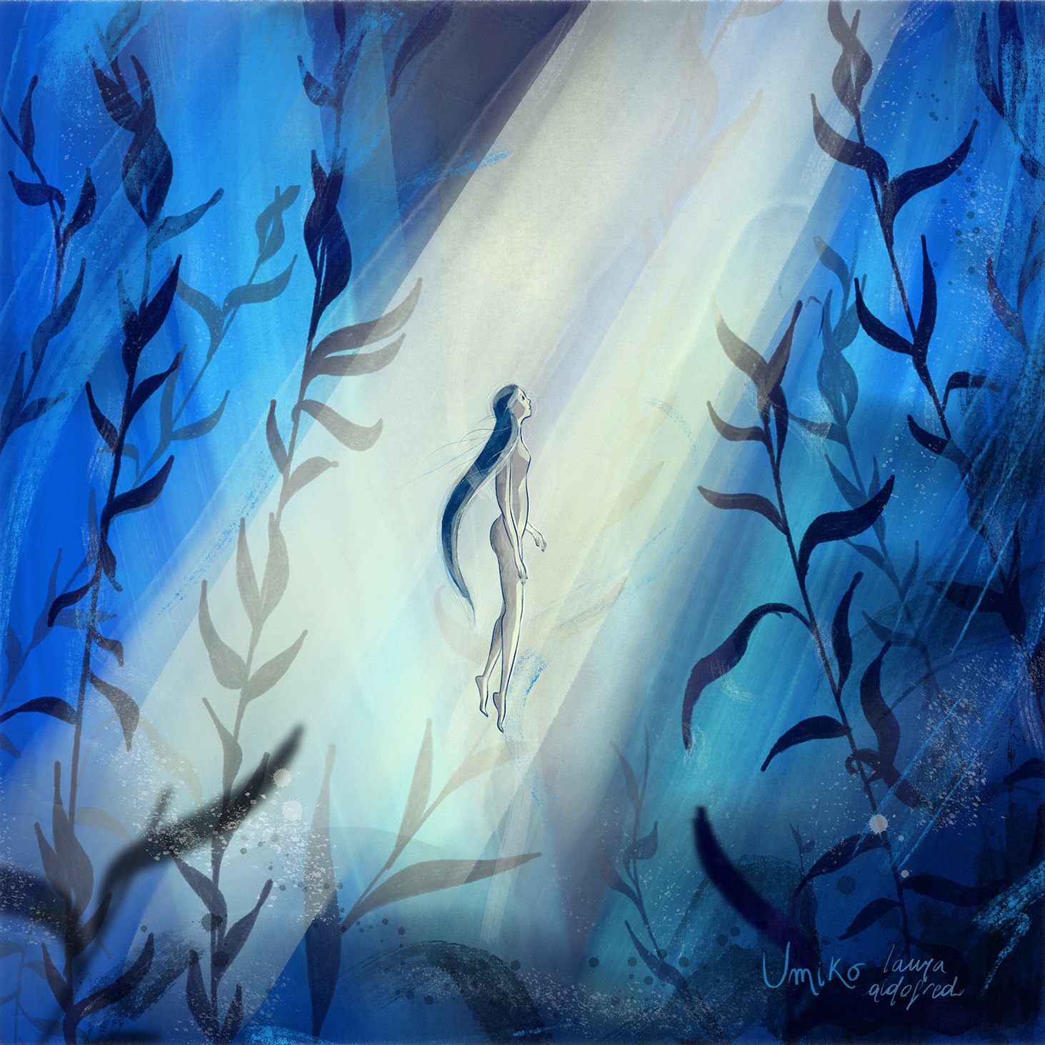 Portfolio-afbeelding